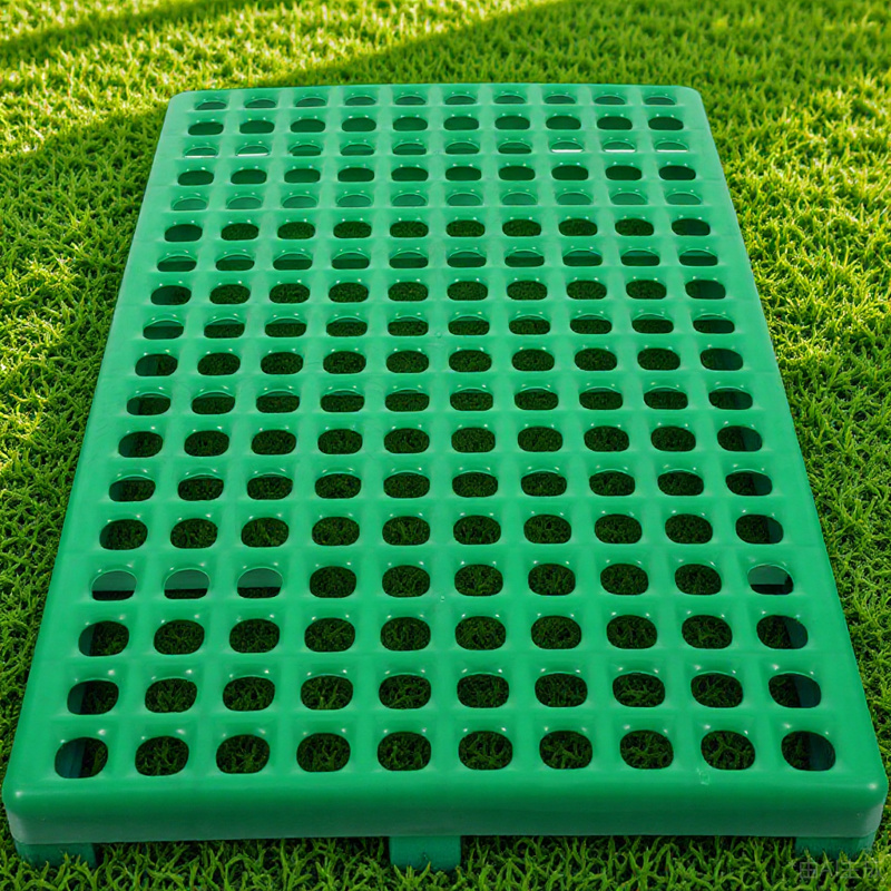 أرنب قفص وسادة البلاستيك الصرف - مراجعة Acupressure Mat Set وسعره